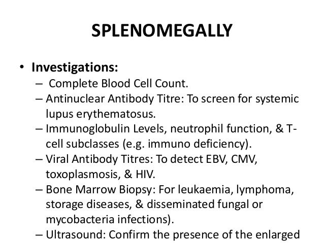 What are the roles of the spleen and marrow?