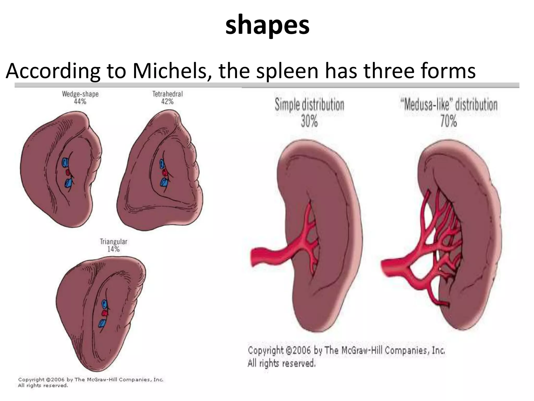 Splenectomized Patient pre and post operative management of paediatric Splenectomy patients | PPTX