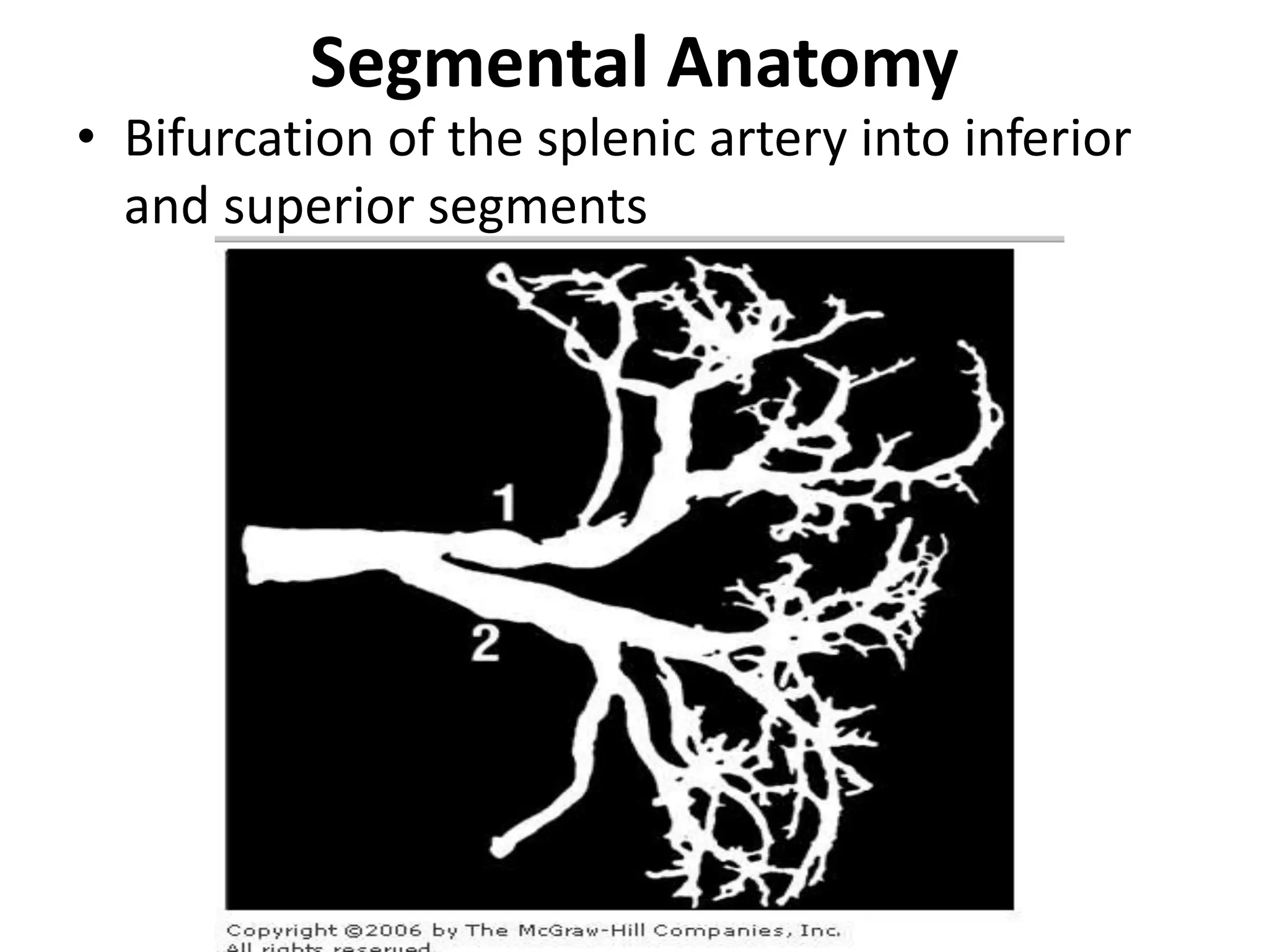 pre and post operative management of paediatric Splenectomy patients | PPTX