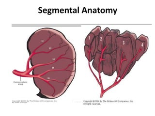 Splenectomized Patient pre and post operative management of paediatric Splenectomy patients | PPTX