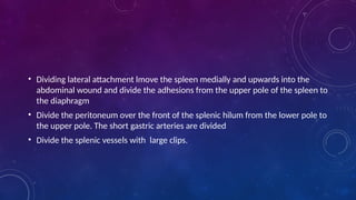 • Dividing lateral attachment lmove the spleen medially and upwards into the
abdominal wound and divide the adhesions from the upper pole of the spleen to
the diaphragm
• Divide the peritoneum over the front of the splenic hilum from the lower pole to
the upper pole. The short gastric arteries are divided
• Divide the splenic vessels with large clips.
 