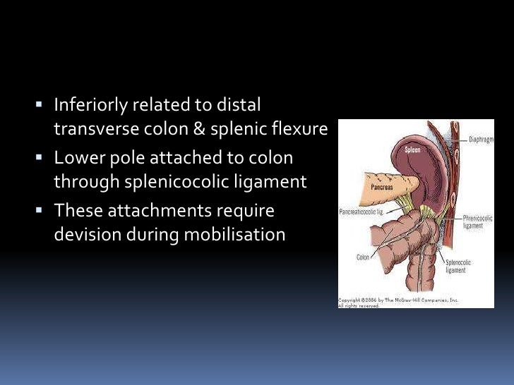Splenic injuries