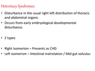 Heterotaxy Syndromes:
• Disturbance in the usual right left distribution of thoracic
and abdominal organs.
• Occurs from early embryological developmental
disturbance.
• 2 types
• Right isomerism – Presents as CHD
• Left isomerism – Intestinal malrotation / Mid gut volvulus
 