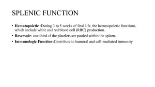 SPLENIC FUNCTION
• Hematopoietic :During 3 to 5 weeks of fetal life, the hematopoietic functions,
which include white and red blood cell (RBC) production.
• Reservoir: one third of the platelets are pooled within the spleen.
• Immunologic Function:Contribute to humoral and cell-mediated immunity
 