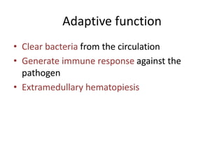 Adaptive function
• Clear bacteria from the circulation
• Generate immune response against the
pathogen
• Extramedullary hematopiesis
 