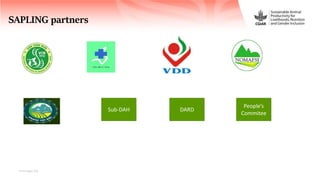 Sustainable Animal Productivity for Livelihoods, Nutrition and Gender inclusion in the Northwest Highlands of Vietnam