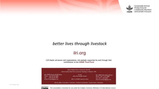 Sustainable Animal Productivity for Livelihoods, Nutrition and Gender inclusion in the Northwest Highlands of Vietnam