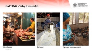 Sustainable Animal Productivity for Livelihoods, Nutrition and Gender inclusion in the Northwest Highlands of Vietnam