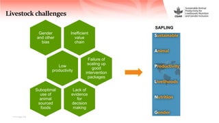 Sustainable Animal Productivity for Livelihoods, Nutrition and Gender inclusion in the Northwest Highlands of Vietnam