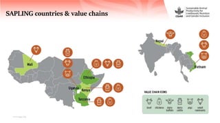 Sustainable Animal Productivity for Livelihoods, Nutrition and Gender inclusion in the Northwest Highlands of Vietnam
