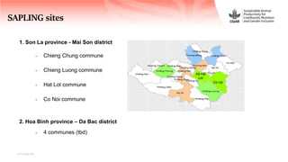 Sustainable Animal Productivity for Livelihoods, Nutrition and Gender inclusion in the Northwest Highlands of Vietnam