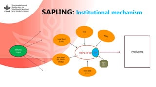 Introduction to the SAPLING Initiative in Nepal