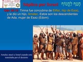 Súplica por Israel
Gén 36:12 Timna fue concubina de Elifaz, hijo de Esaú,
y le dio un hijo, Amalec. Estos son los descendientes
de Ada, mujer de Esaú (Edom).
Amalec atacó a Israel cuando este
transitaba por el desierto
 
