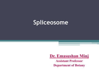 Spliceosome
Dr. Emasushan Minj
Assistant Professor
Department of Botany
 