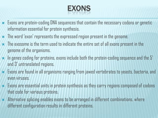 EXONS
 Exons are protein-coding DNA sequences that contain the necessary codons or genetic
information essential for protein synthesis.
 The word ‘exon’ represents the expressed region present in the genome.
 The exosome is the term used to indicate the entire set of all exons present in the
genome of the organisms.
 In genes coding for proteins, exons include both the protein-coding sequence and the 5’
 In genes coding for proteins, exons include both the protein-coding sequence and the 5’
and 3’ untranslated regions.
 Exons are found in all organisms ranging from jawed vertebrates to yeasts, bacteria, and
even viruses.
 Exons are essential units in protein synthesis as they carry regions composed of codons
that code for various proteins.
 Alternative splicing enables exons to be arranged in different combinations, where
different configuration results in different proteins.
 