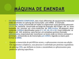 MÁQUINA DE EMENDAR

   EM ORGANISMOS COMPLEXOS, dois níveis diferentes de equipamento molecular
    estão envolvidos no splicing das transcrições pré-mRNA. O chamado
    mecanismo basal, encontrado em todos os organismos cujos genomas possuem
    íntrons, foi bastante conservado ao longo da evolução, dos fungos até os seres
    humanos. Ele consiste em cinco moléculas de RNA nuclear de pequeno peso
    molecular (nRNAs) identificadas como U 1, U2, U4, U5 e U6. Essas moléculas se
    aliam a até 150 proteínas para formar um complexo químico chamado
    spliceossomo, responsável por reconhecer os locais onde os íntrons começam e
    terminam, removendo-os da transcrição pré-mRNA e ligando os éxons para
    formar o mRNA.

   Quando a transcrição do pré-RNAm ocorre, o spliceossomo executa sua edição.
    Em organismos complexos, esse processo é controlado por proteínas reguladoras
    do splicing (SR), que definem os éxons e encaminham os spliceossomos para
    pontos de splicing específicos.
 