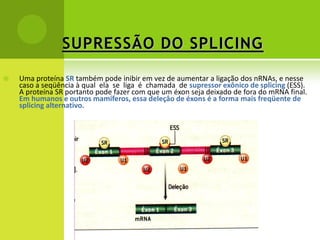 SUPRESSÃO DO SPLICING

   Uma proteína SR também pode inibir em vez de aumentar a ligação dos nRNAs, e nesse
    caso a seqüência à qual ela se liga é chamada de supressor exônico de splicing (ESS).
    A proteína SR portanto pode fazer com que um éxon seja deixado de fora do mRNA final.
    Em humanos e outros mamíferos, essa deleçâo de éxons é a forma mais freqüente de
    splicing alternativo.
 