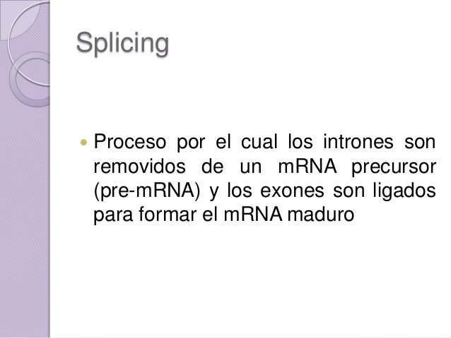 Splicing alternativo o diferencial