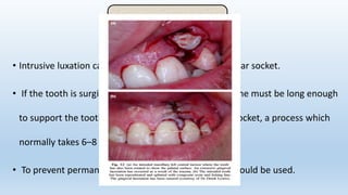 • Intrusive luxation causes serious damage to the alveolar socket.
• If the tooth is surgically repositioned, the splinting time must be long enough
to support the tooth during remodeling of the bony socket, a process which
normally takes 6–8 weeks.
• To prevent permanent ankylosis a semi‐rigid splint should be used.
INTRUSION
 