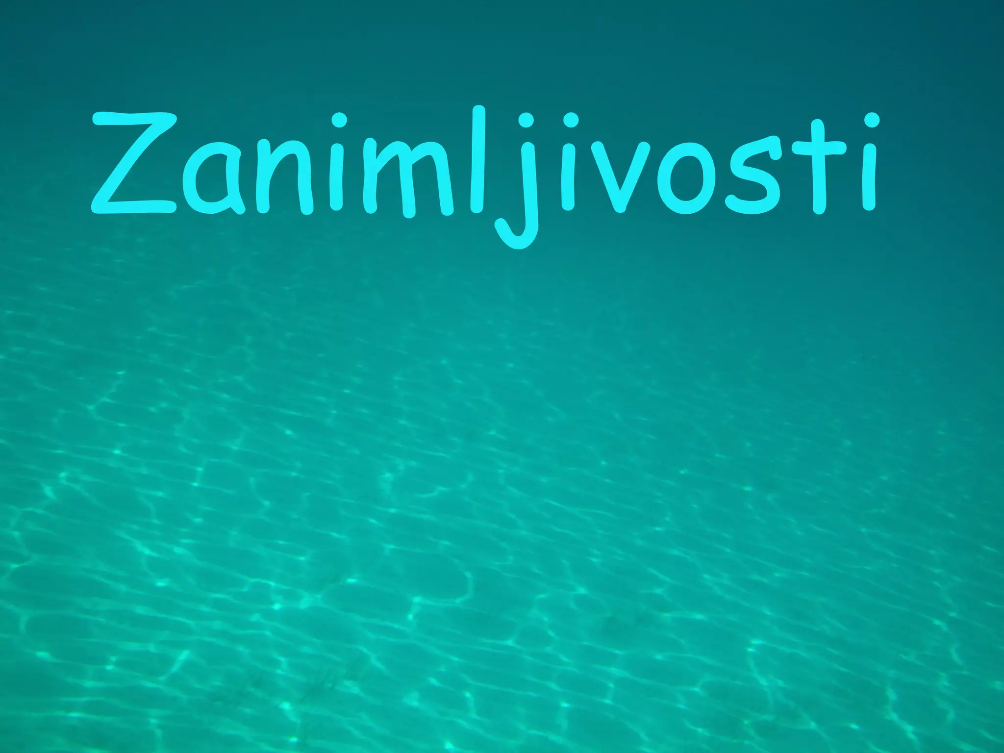 Zanimljivosti
 