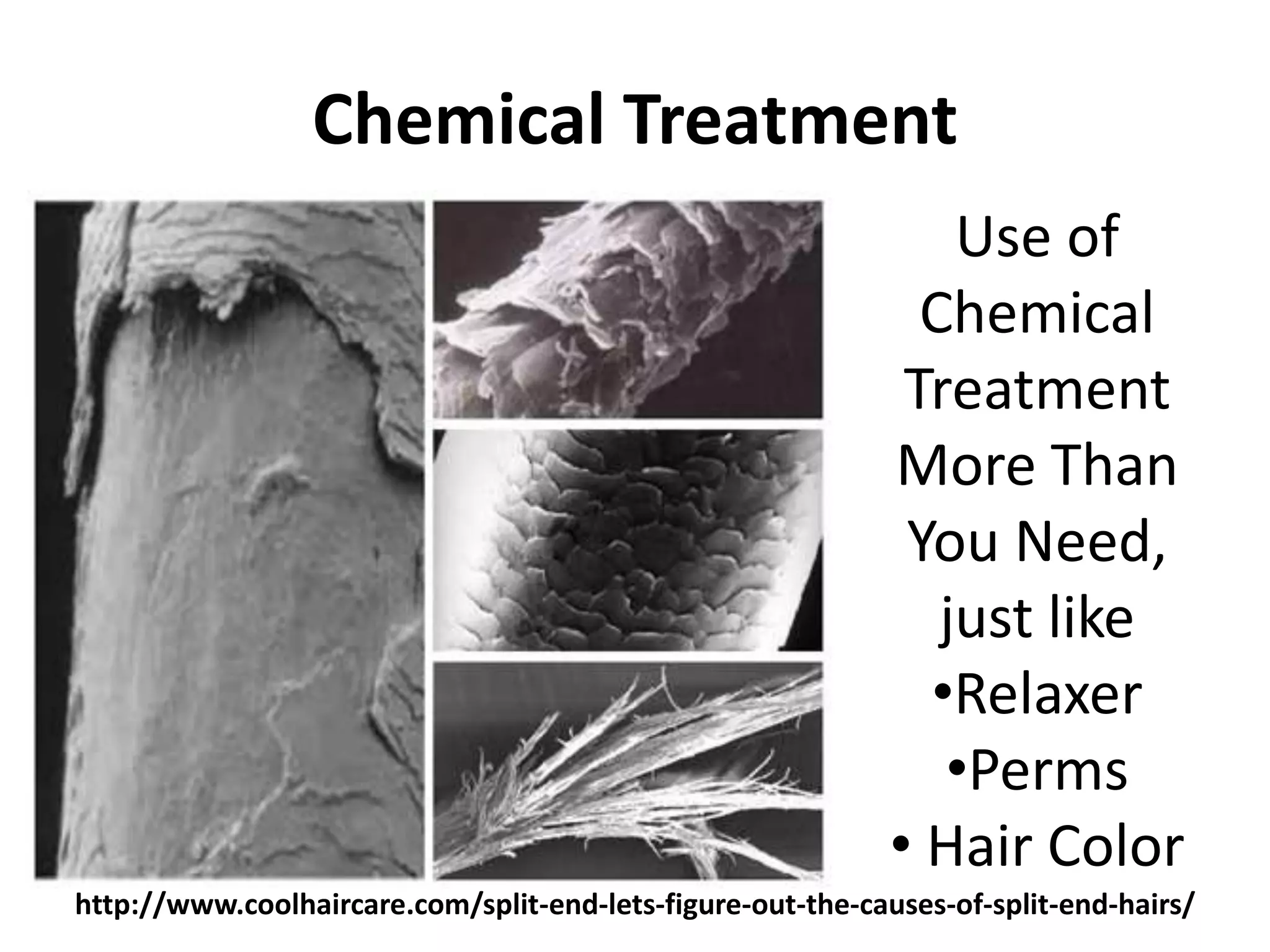 Chemical Treatment 
Use of 
Chemical 
Treatment 
More Than 
You Need, 
just like 
•Relaxer 
•Perms 
• Hair Color 
http://www.coolhaircare.com/split-end-lets-figure-out-the-causes-of-split-end-hairs/ 
 