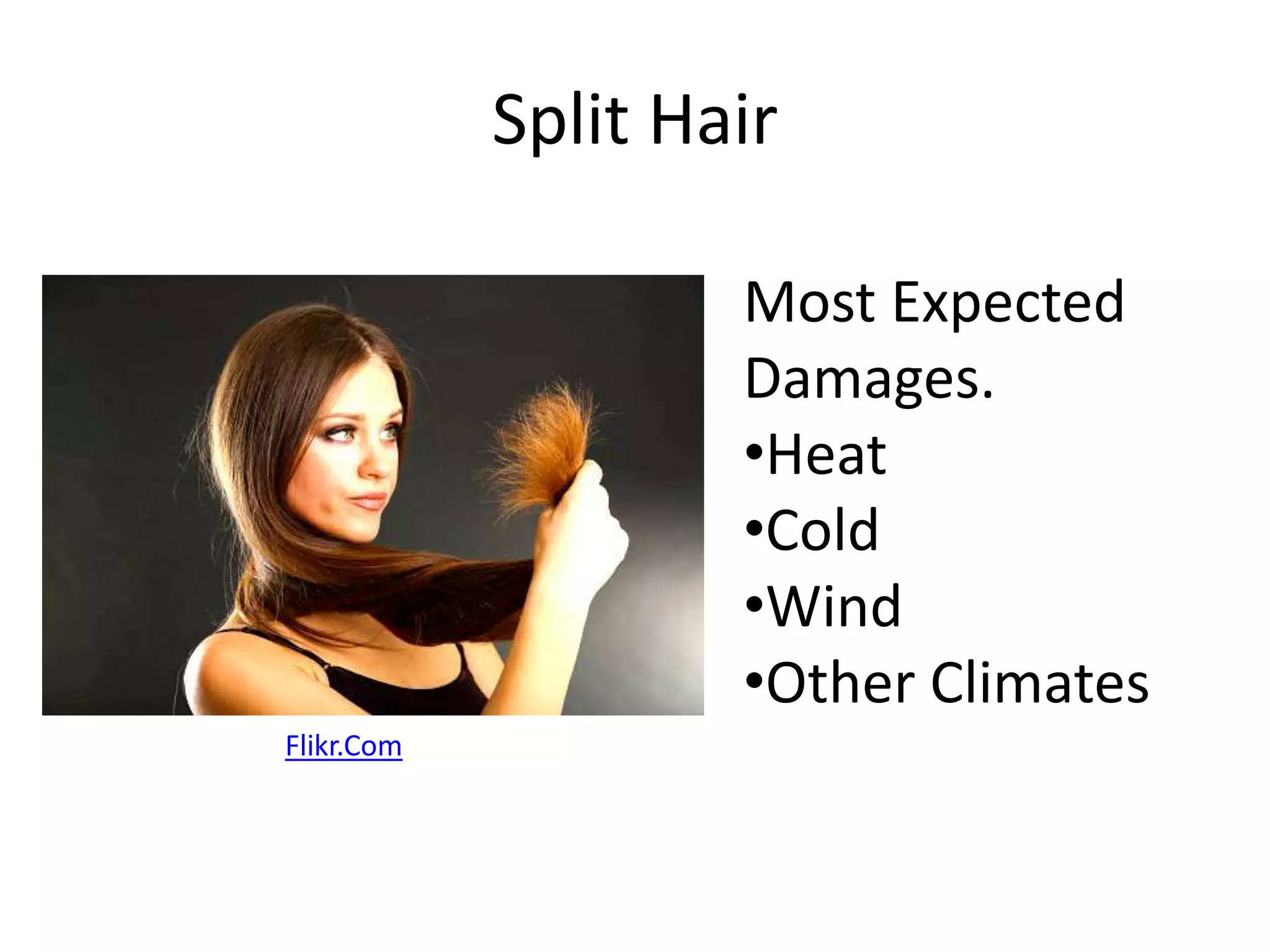 Split Hair 
Most Expected 
Damages. 
•Heat 
•Cold 
•Wind 
•Other Climates 
Flikr.Com 
 