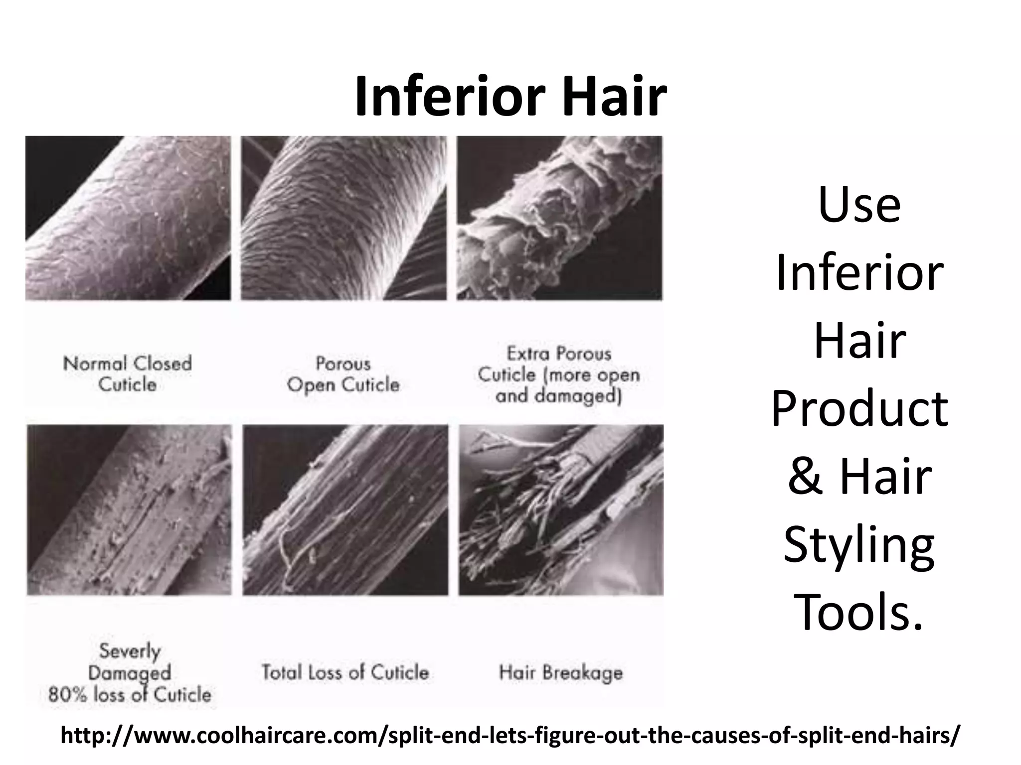 Inferior Hair 
Use 
Inferior 
Hair 
Product 
& Hair 
Styling 
Tools. 
http://www.coolhaircare.com/split-end-lets-figure-out-the-causes-of-split-end-hairs/ 
 