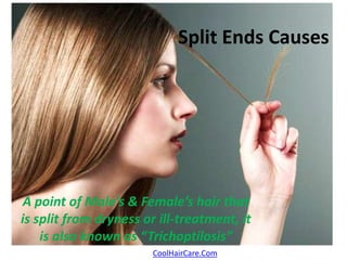 Split Ends Causes 
A point of Male’s & Female’s hair that 
is split from dryness or ill-treatment, it 
is also known as “Trichoptilosis” 
CoolHairCare.Com 
 