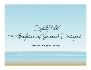 Split Plot
Analysis of Variance Designs
PSYCHOLOGY 3800, LAB 003
 