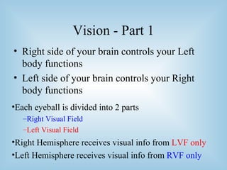 Split brain Phenomenon | PPT | Brain and Nervous System Disorders ...