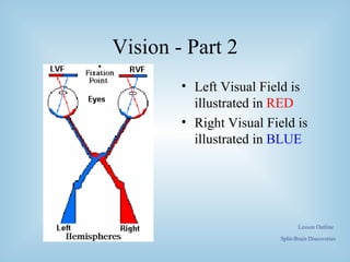 Split brain Phenomenon | PPT | Brain and Nervous System Disorders ...