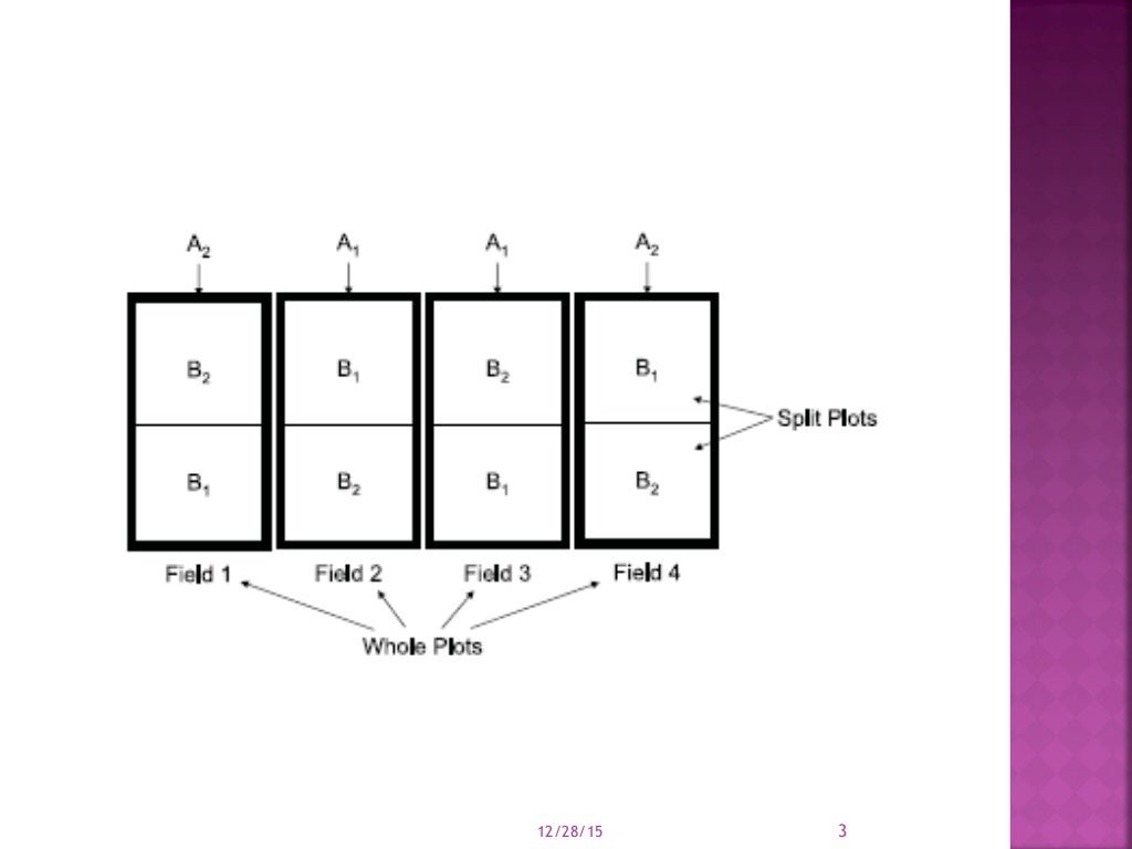 Split Plot Design split-plot-design