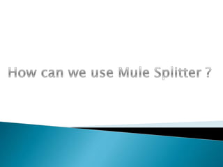 Splitting with mule | PPTX