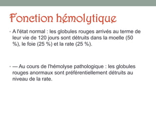 Fonction hémolytique
• A l'état normal : les globules rouges arrivés au terme de
leur vie de 120 jours sont détruits dans la moelle (50
%), le foie (25 %) et la rate (25 %).
• — Au cours de l'hémolyse pathologique : les globules
rouges anormaux sont préférentiellement détruits au
niveau de la rate.
 