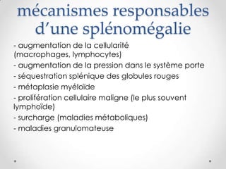 mécanismes responsables
d’une splénomégalie
- augmentation de la cellularité
(macrophages, lymphocytes)
- augmentation de la pression dans le système porte
- séquestration splénique des globules rouges
- métaplasie myéloïde
- prolifération cellulaire maligne (le plus souvent
lymphoïde)
- surcharge (maladies métaboliques)
- maladies granulomateuse
 