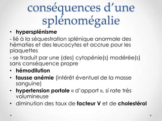 conséquences d’une
splénomégalie
• hypersplénisme
- lié à la séquestration splénique anormale des
hématies et des leucocytes et accrue pour les
plaquettes
- se traduit par une (des) cytopénie(s) modérée(s)
sans conséquence propre
• hémodilution
• fausse anémie (intérêt éventuel de la masse
sanguine)
• hypertension portale « d’apport », si rate très
volumineuse
• diminution des taux de facteur V et de cholestérol
 