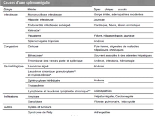 Splénomégalie dr merabet