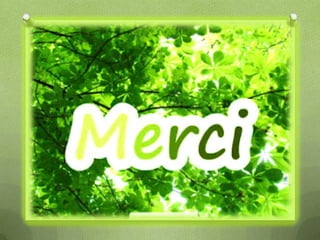 Splénomégalie dr merabet