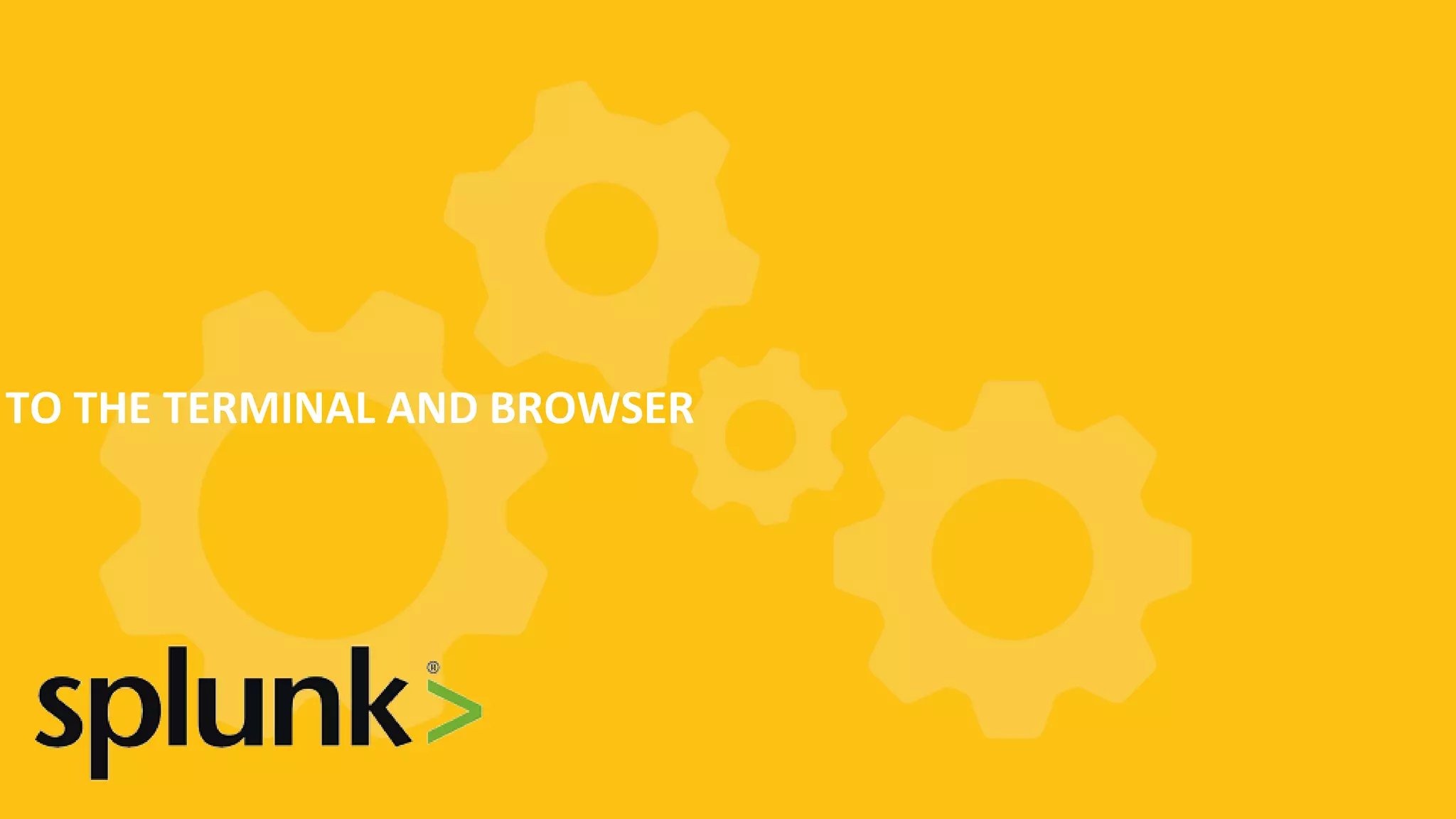 TO THE TERMINAL AND BROWSER 