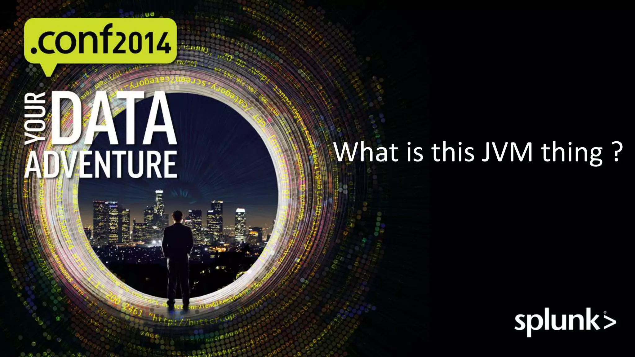 What is this JVM thing ? 
 