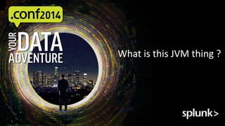 What is this JVM thing ? 
 