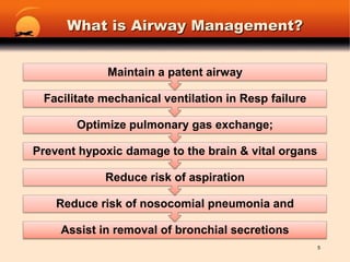 What is Airway Management?5