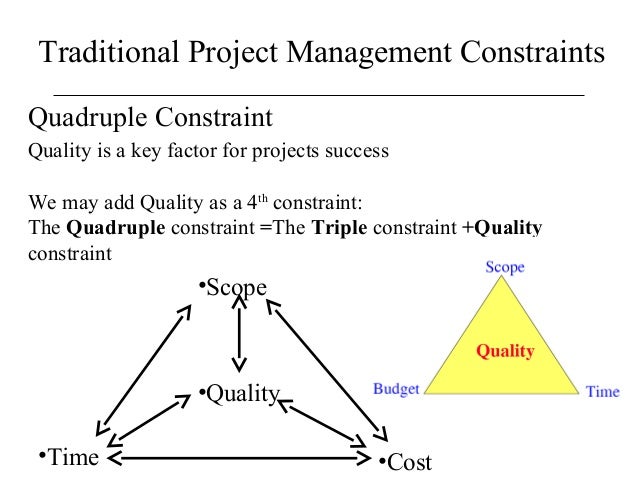 Software Project Management( lecture 1)