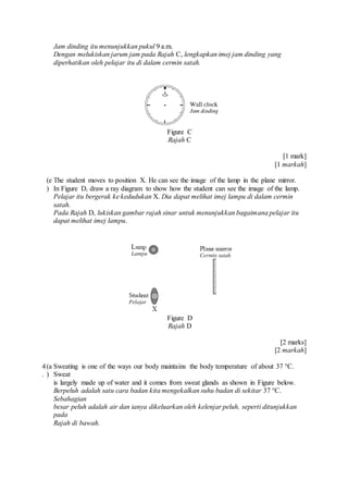 Jam dinding itu menunjukkan pukul 9 a.m.
Dengan melukiskan jarum jam pada Rajah C, lengkapkan imej jam dinding yang
diperhatikan oleh pelajar itu di dalam cermin satah.
Figure C
Rajah C
[1 mark]
[1 markah]
(e
)
The student moves to position X. He can see the image of the lamp in the plane mirror.
In Figure D, draw a ray diagram to show how the student can see the image of the lamp.
Pelajar itu bergerak ke kedudukan X. Dia dapat melihat imej lampu di dalam cermin
satah.
Pada Rajah D, lukiskan gambar rajah sinar untuk menunjukkan bagaimana pelajar itu
dapat melihat imej lampu.
Figure D
Rajah D
[2 marks]
[2 markah]
4
.
(a
)
Sweating is one of the ways our body maintains the body temperature of about 37 °C.
Sweat
is largely made up of water and it comes from sweat glands as shown in Figure below.
Berpeluh adalah satu cara badan kita mengekalkan suhu badan di sekitar 37 °C.
Sebahagian
besar peluh adalah air dan ianya dikeluarkan oleh kelenjar peluh, seperti ditunjukkan
pada
Rajah di bawah.
 