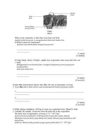 Figure
Rajah
When sweat evaporates, it takes heat away from our body.
Apabila peluh menyejat, ia mengeluarkan haba dari badan kita.
(i) What is meant by evaporation?
Apakah yang dimaksudkan dengan penyejatan?
_____________________________________________________________________
_____________
[1 mark]
[1 markah]
(ii
)
Using kinetic theory of matter, explain how evaporation takes away heat from our
body.
Menggunakan teori kinetik jirim, terangkan bagaimana proses penyejatan
mengeluarkan
haba dari badan kita.
_____________________________________________________________________
_____________
[2 marks]
[2 markah]
(b
)
State two environmental factors that affect the rate of evaporation of sweat.
Nyata dua faktor alam sekitar yang mempengaruhi kadar penyejatan peluh.
1.______________________________________________________________________
_______________
2.______________________________________________________________________
_______________
[2 marks]
[2 markah]
(c
)
While playing badminton, 0.05 kg of sweat was evaporated from Ahmad’fs body.
Calculate the quantity of heat lost from his body due to the evaporation.
The latent heat of vaporisation of sweat is 2.3 × 106 J kg-1.
Semasa bermain badminton, 0.05 kg peluh tersejat dari badan Ahmad.
Hitungkan kuantiti haba yang hilang dari badan Ahmad yang disebabkan oleh
penyejatan
peluh itu. Muatan haba pendam pengewapan peluh ialah 2.3 × 106 J kg-1.
 