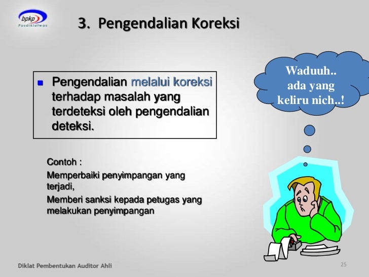 Sistem Pengendalian Manajemen (SPM)