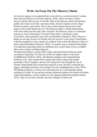 Write An Essay On The Muscovy Ducks
An invasive species is an organism that is not native to a certain area but it resides
there anyway (What is an Invasive Species, 2016). There are many of these
invasive species that are now in Florida. Such as the Muscovy duck, the Burmese
python, the Asian sword fern, and many others. Invasive species can be a huge
burden on nature, and society. This is why certain species that are not in this
region of the world should stay out. The Muscovy duck is a black bodied duck
with some white near the neck, and a red head. The Muscovy duck is a mammoth
nuisance to local communities. It maims flower beds, it eliminates waste
everywhere, and is generally just in the way(Northwest Houston, 2016). Muscovy
ducks are not only invasive in Florida, they are invasive in the entire United States,
with the exception of a few counties in southern Texas where the Muscovy duck is a
native species(Northwest Houston, 2016). A common way to eradicate these ducks
is to trap them and release them in a different area, or give them over to a wildlife...
Show more content on Helpwriting.net ...
The Burmese python is a pale yellow snake with large black and brown spots
covering its long body. It is also one of the five largest snakes in the entire
world(Burmese Pythons, 2016). The Burmese pythons were imported from
Southeast Asia. They started off by eating most of the rodents and smaller
mammals in the Everglades, and are now eating their way through the rest of
Florida. Some people like to keep these pythons as pets, but they eventually get
bigger, and bigger until they are no longer fit to be a pet(Haberman, Clyde, 2016).
The Burmese python is a force to be reckoned with, as it will squander almost
anything in its path. If you end up crossing a Burmese python you should call animal
control immediately, as these snakes are very dangerous(Burmese python control,
2016). They are not only a burden, but also a danger to nature and
 