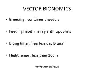 VECTOR BIONOMICS
• Breeding : container breeders
• Feeding habit: mainly anthropophilic
• Biting time : “fearless day biters”
• Flight range : less than 100m
TONY SCARIA 2010 KMC
 