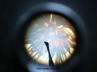 TONY SCARIA 2010 KMC
 