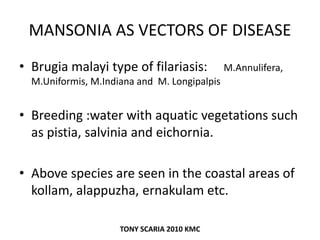MANSONIA AS VECTORS OF DISEASE
• Brugia malayi type of filariasis: M.Annulifera,
M.Uniformis, M.Indiana and M. Longipalpis
• Breeding :water with aquatic vegetations such
as pistia, salvinia and eichornia.
• Above species are seen in the coastal areas of
kollam, alappuzha, ernakulam etc.
TONY SCARIA 2010 KMC
 